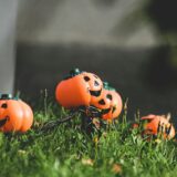 毎日新聞の書評欄を読んで気になった本