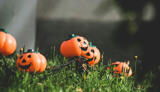 毎日新聞の書評欄を読んで気になった本