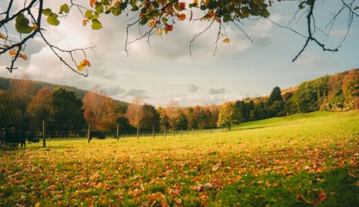 東京新聞の書評欄を読んで気になった本