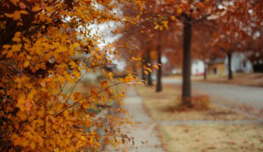 朝日新聞の書評欄を読んで気になった本