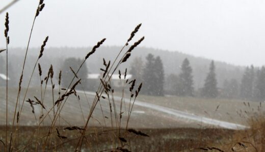「究極の英単語　初級の3000語」アルク