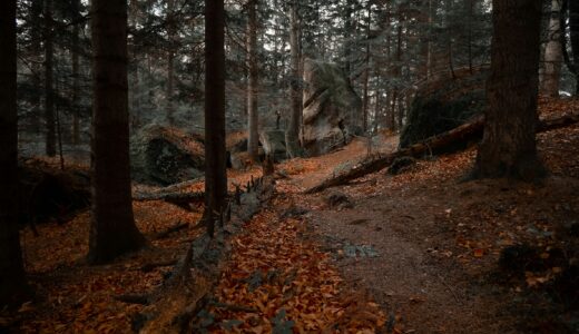 読売新聞の書評欄から