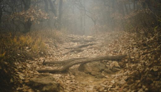 東京新聞の書評欄を読んで気になった本