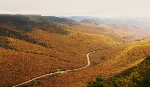 毎日新聞の書評欄を読んで気になった本