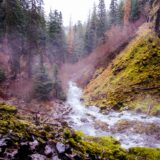 朝日新聞の書評欄から