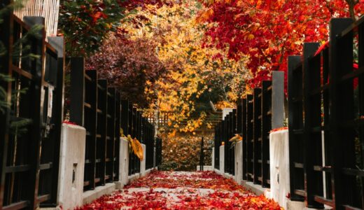 東京新聞の書評欄で気になった本