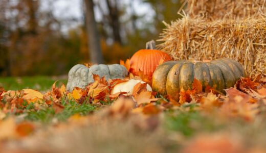 朝日新聞の書評欄を読んで気になった本
