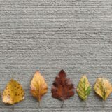 毎日新聞の書評欄から