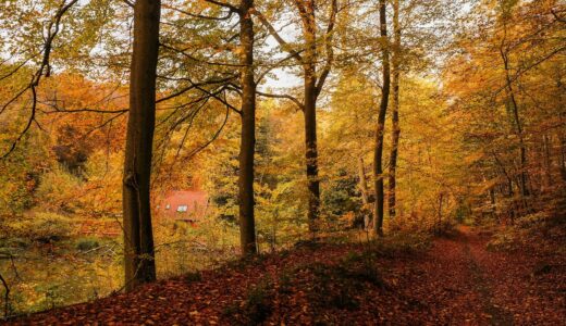 舛友 雄大著「潤日」　