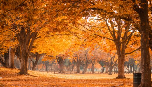 佐藤航陽著「ゆるストイック」