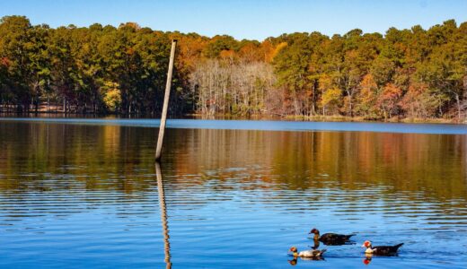 産経新聞の書評欄を読んで気になった本