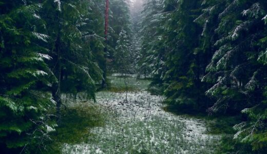 明日は父の告別式