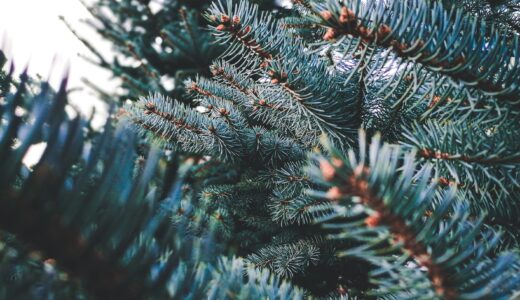 産経新聞の書評欄から