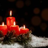 ダイヤモンド・ザイと日経マネーが届く