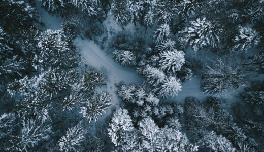 3,000円商品券の使いみち