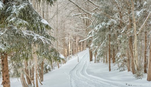 年老いた母との電話