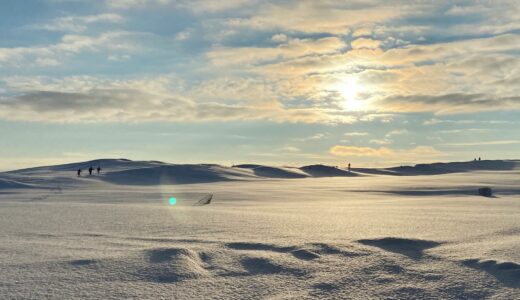 土曜日、大学の図書館で