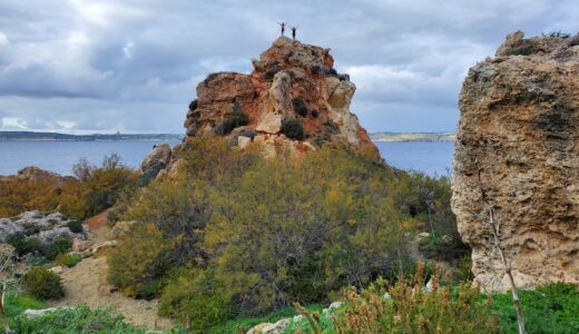 早帰り水曜日、新聞と雑誌をめくって心を整える