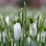 雑誌にちょこっと載るらしい