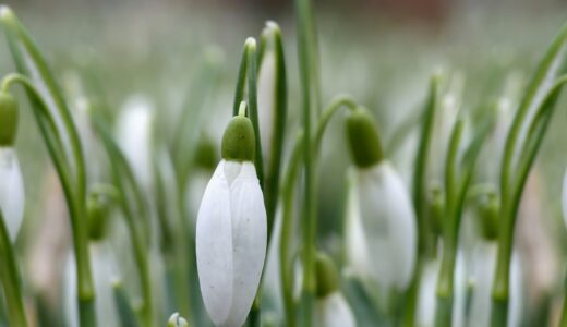 雑誌にちょこっと載るらしい