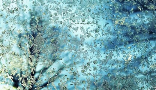 1月2日の過ごし方（私の場合）