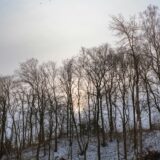 父の相続のこと