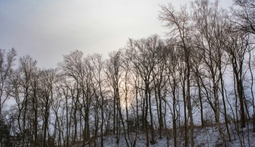 父の相続のこと