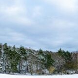 月曜日の夜、新聞をめくりながら考えたこと