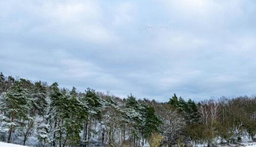 月曜日の夜、新聞をめくりながら考えたこと