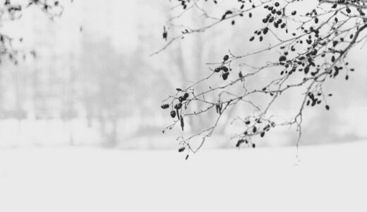 息子の大学受験に