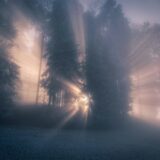 書評に導かれて、吉祥寺の本屋へ