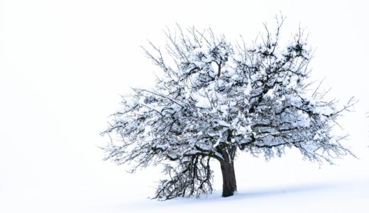 息子の大学受験に続き、娘の進学も