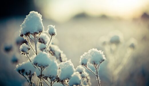 今夜も、息子の大学入試申し込み