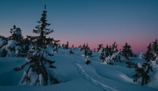 共通テスト前夜に、父が思ったこと