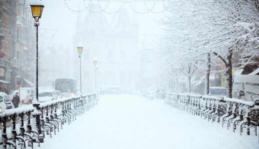 父の四十九日、雪が舞う