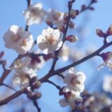 三連休の最終日　春一番