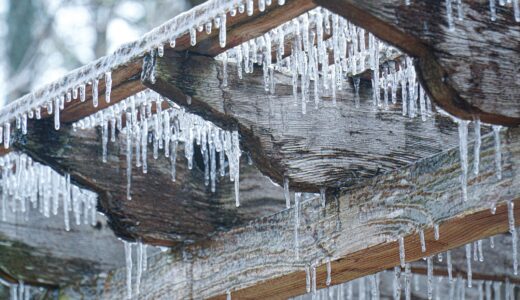 水曜日の夜、ワインと日記の話