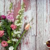 養命酒と倉科カナ、火曜日の図書館の夜