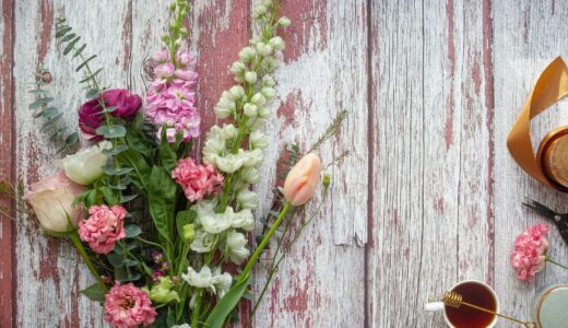 養命酒と倉科カナ、火曜日の図書館の夜