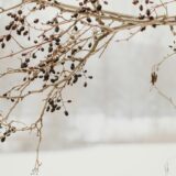 憂う木曜日の夜