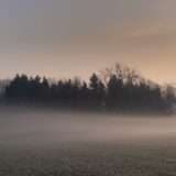 父から息子へ、本を一冊