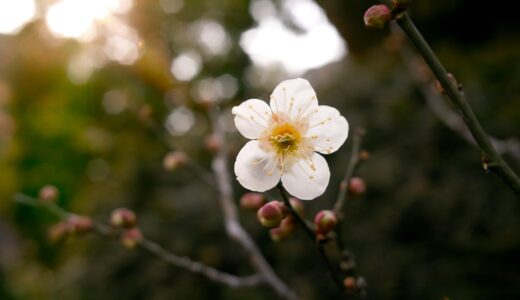 親は祈るしかない夜
