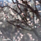 「都合のいい人」で終わらないために