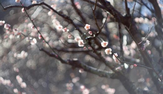 「都合のいい人」で終わらないために