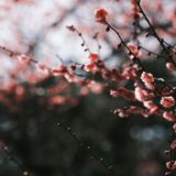 受験が終わった夜