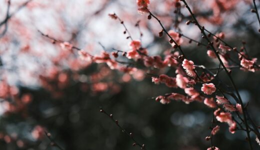 受験が終わった夜