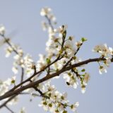 新聞をめくりながら考えた、男女の役割と我が家の家事分担