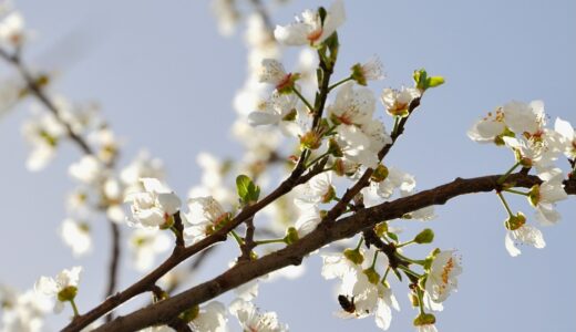 新聞をめくりながら考えた、男女の役割と我が家の家事分担