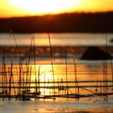 夜の図書館で新聞をめくりながら、オヤジの会のことを考えた