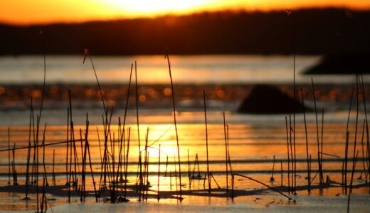 夜の図書館で新聞をめくりながら、オヤジの会のことを考えた